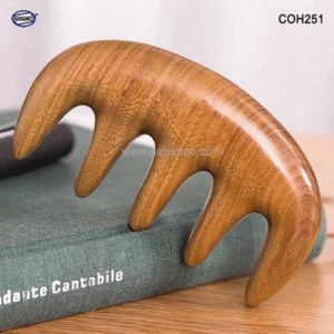 Lược gỗ thơm 5 răng massa đầu giúp lưu thông máu đả thông kinh mạch (Size: S -10cm) rất tốt cho sức khỏe (COH251) HAHANCO